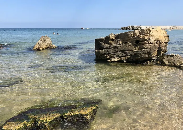 Sunrise Complex * Золотые Пески